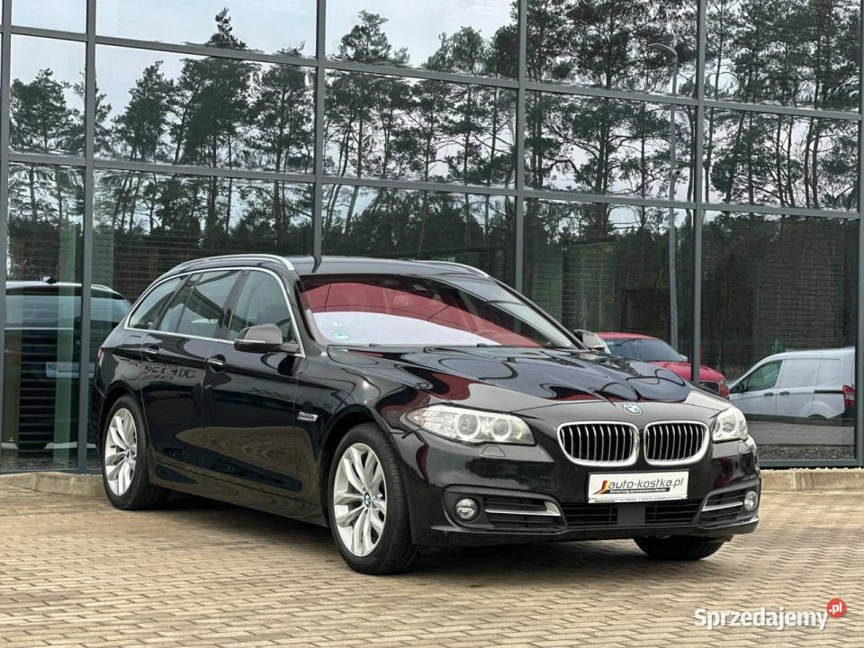 BMW 525 Bixenon LED Elklapa Skóra Asystent 1995cm3 opolskie Kąty Opolskie