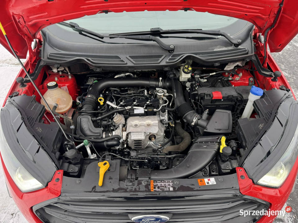 Ford EcoSport 10 125 STLINE LED Nawigacja Mrągowo sprzedam