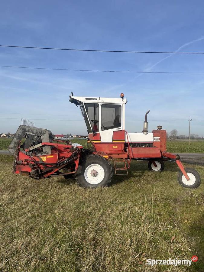 Pokosówka OWATON Pozostałe Topola Królewska sprzedam