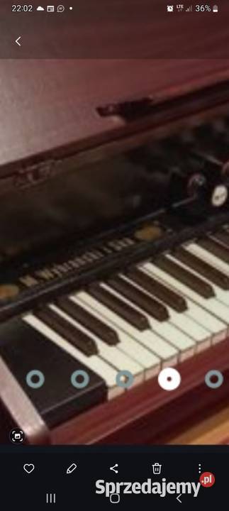 Fisharmonia Wybranski Kórnik sprzedam