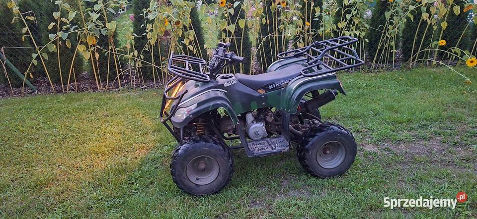 Quad 110 15KM Bashan Bashan