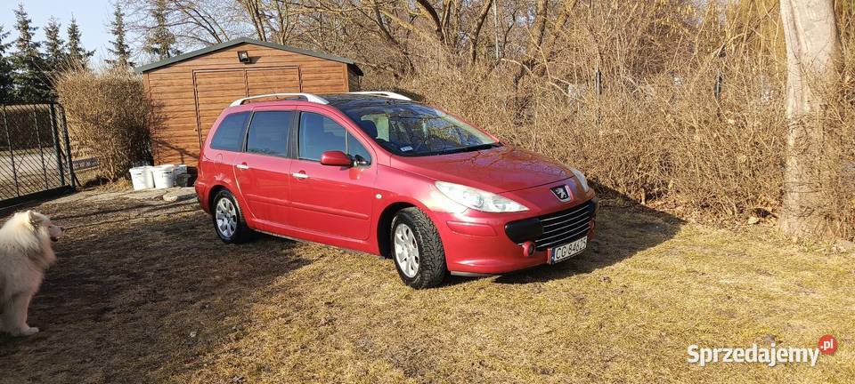 Peugeot 307 16 bg manualna Grudziądz