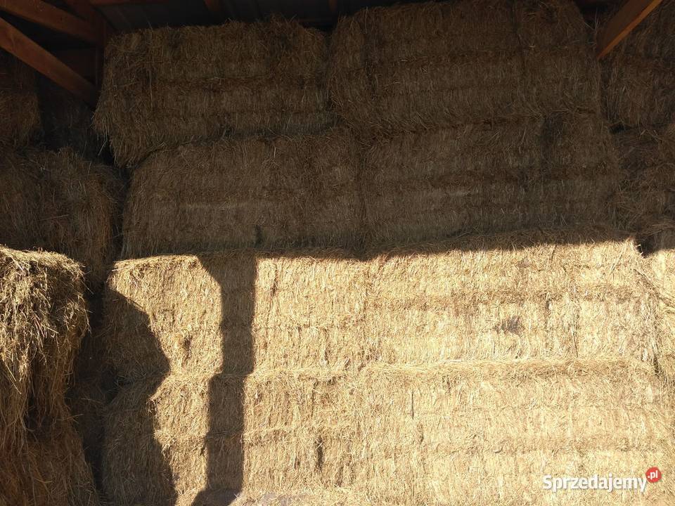 Siano duża kostka podlaskie Zambrów sprzedam