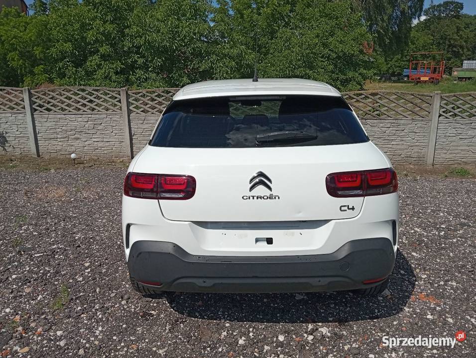 C4 cactus 12 automat Margonin
