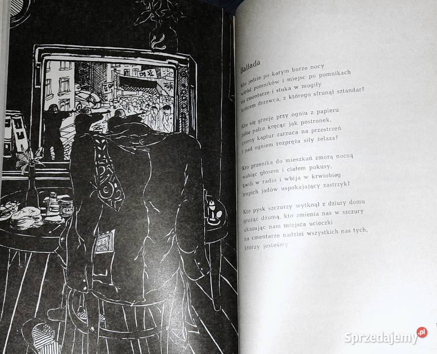 Rysopis Tadeusz Hołuj lubelskie Chełm sprzedam