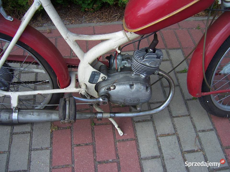 komar sztywniak Polski PRL Goleniów