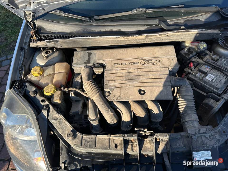 Ford Fiesta 14b klima 116tkm Kobiety 2006r Namysłów