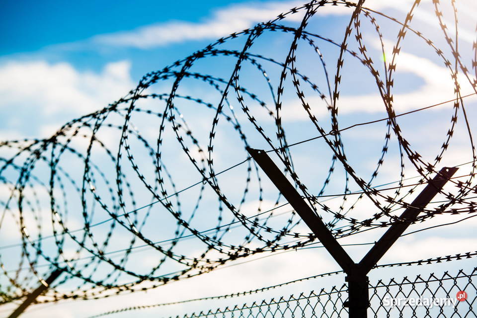 Zasieki concertina 980 mm 54 zwoje 5 złączek