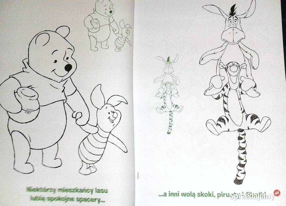 Kubuś i Przyjaciele Naklejam i Koloruję A A lubelskie Chełm sprzedam