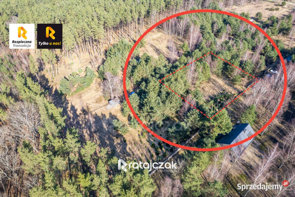 Grunt na sprzedaż 9751m2 Sasino Stara Cegielnia polna Sprzedaż pomorskie