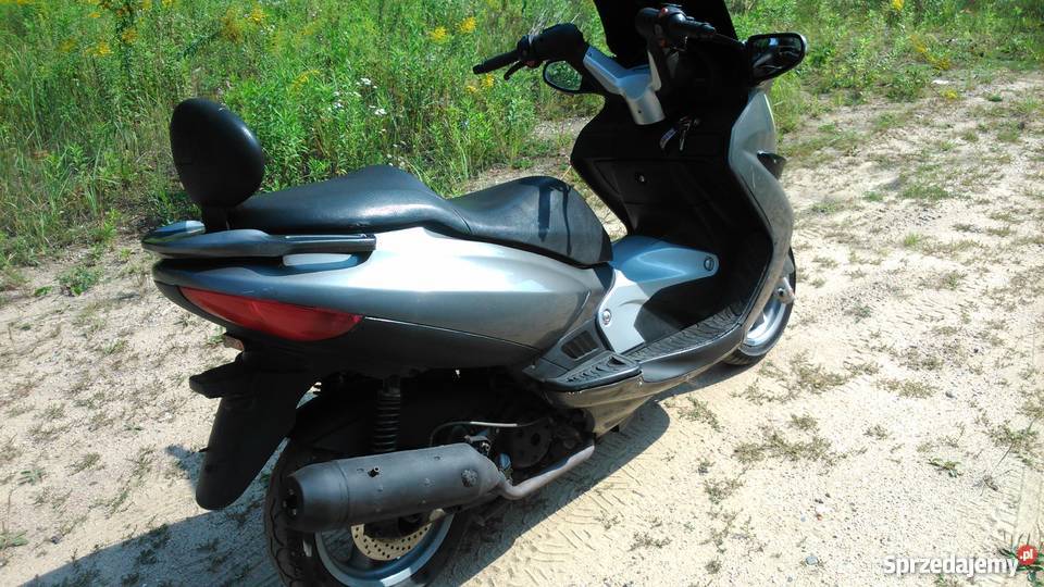 MALAGUTI MADISON 12550