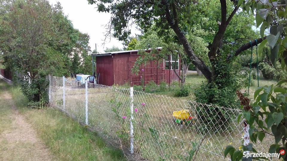 Działka ROD Stokrotka rekreacyjna Opole