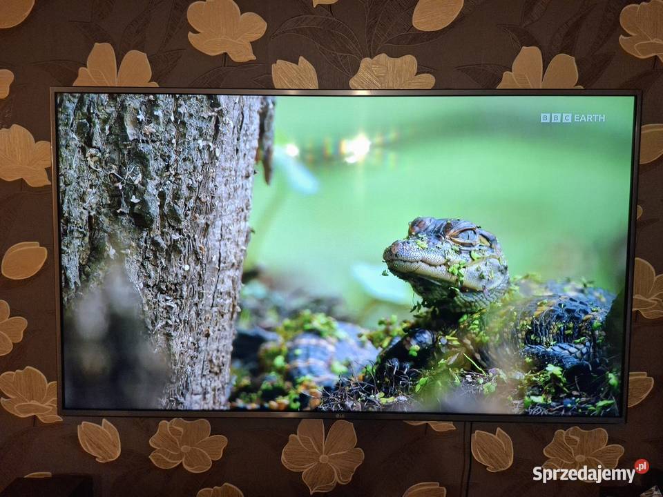 Telewizor LG UHD TV 4K 60 60UH65 Iwonicz