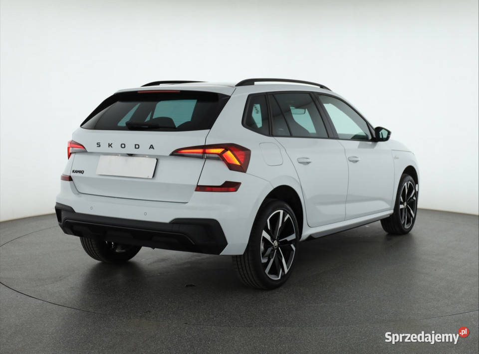 Skoda Kamiq 10 TSI przyciemniane szyby Piaseczno