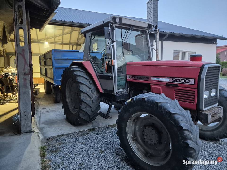 Massey ferguson 3080 Massey Ferguson sprzedam