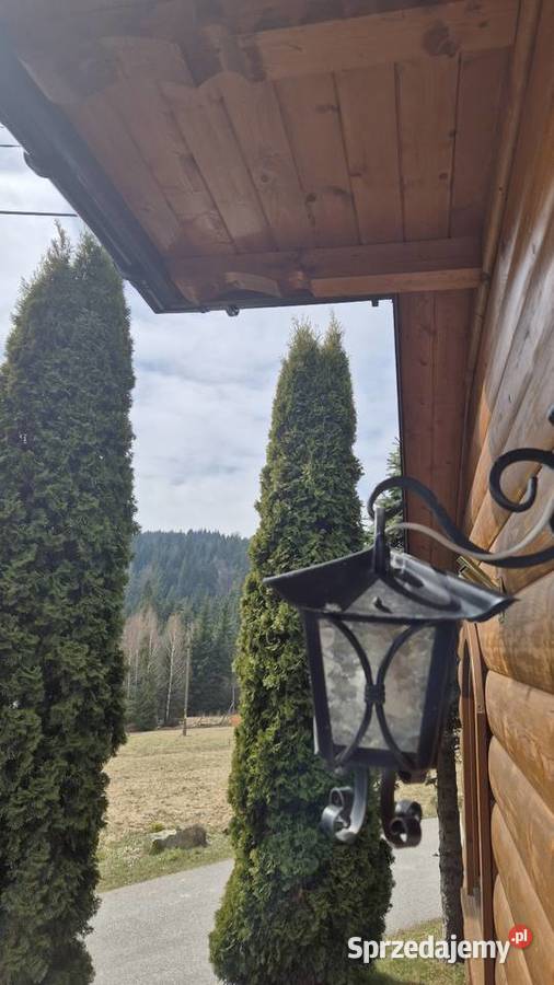 Kinkiet wiszący kuta lampa na taras lampa