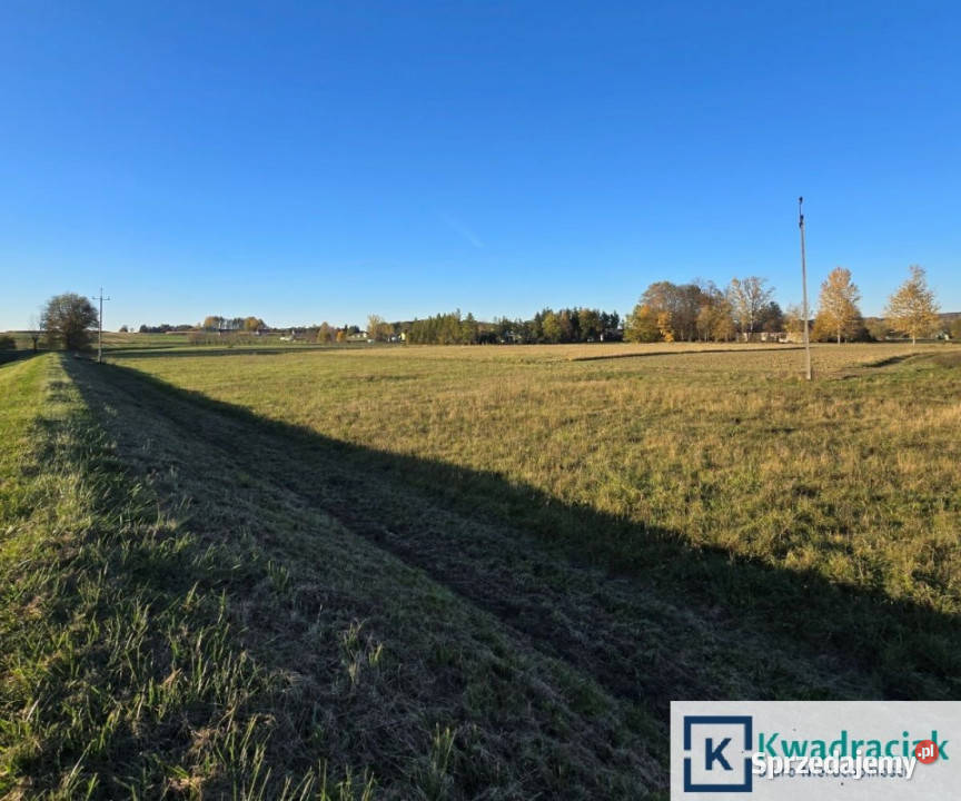 Działka Bzianka 3000m2 Sprzedaż