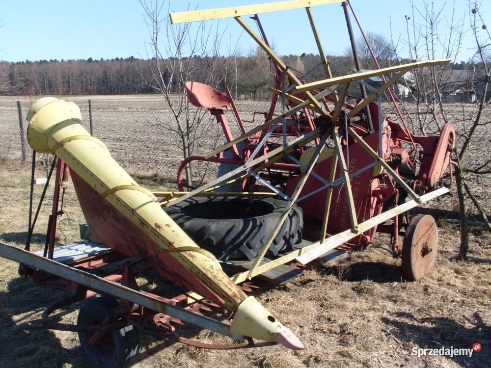 SNOPOWIĄZAŁKA WARTA Sędziszów sprzedam