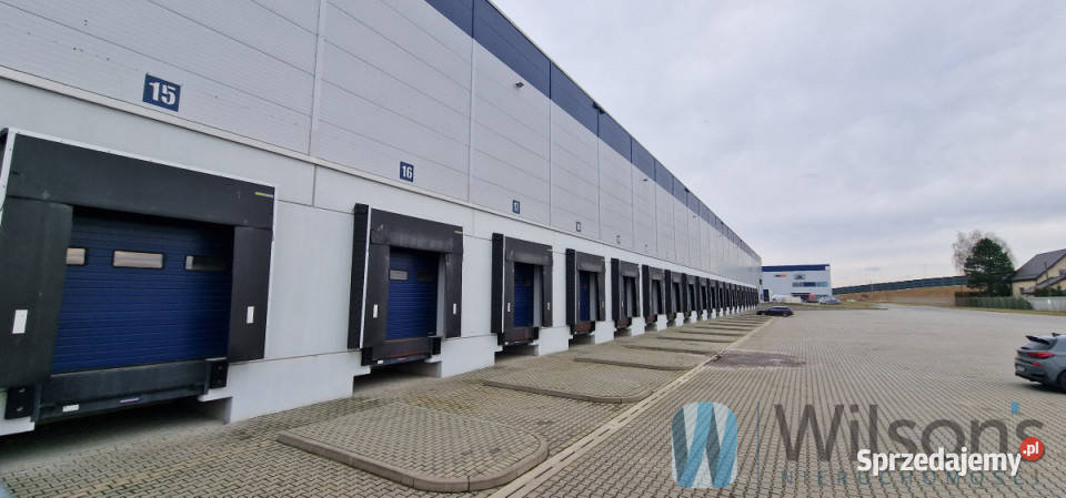 wynajmu lokalu 14005m2 Ożarów Mazowiecki Wynajem