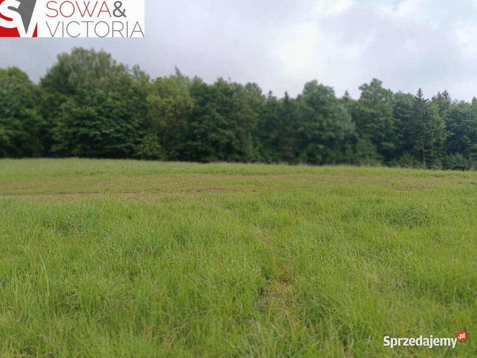 Działka w cichej uliczce z prądem Sprzedaż dolnośląskie Głuszyca