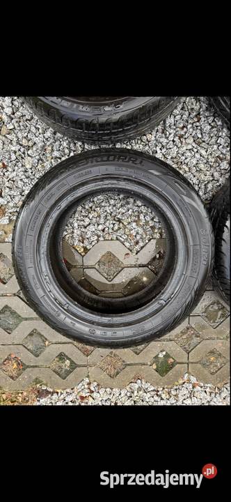 Opony letnie Premiorri 1956015 2021 67mm Krępiec sprzedam