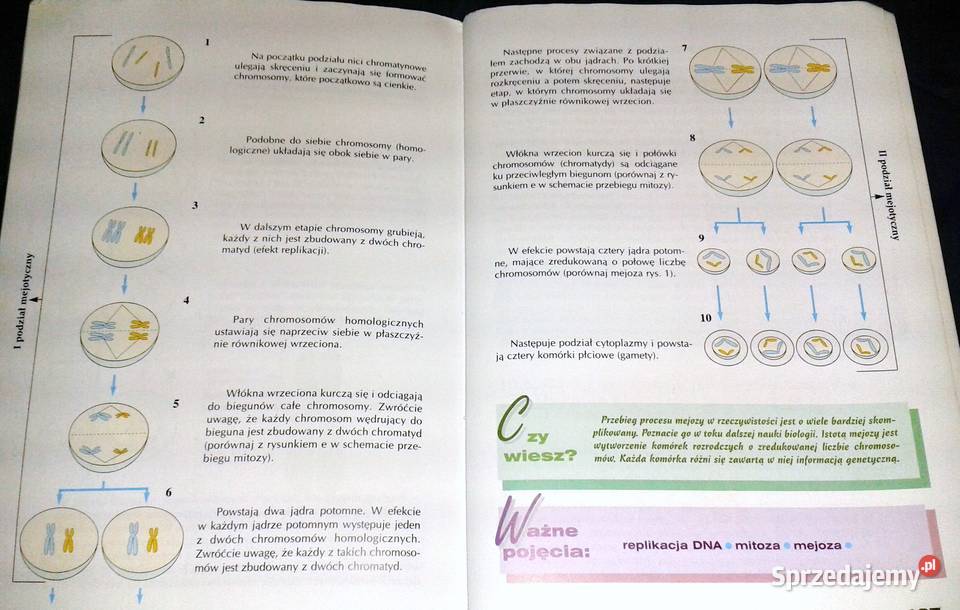 Biologia gimnazjum Cz 2 W Gołda M Kłyś J Wardas Chełm
