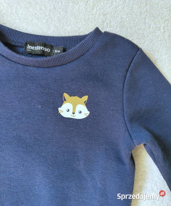 Bluza niemowlęca Inextenso 6M 62 68 granatowa chłopiec Szczecin