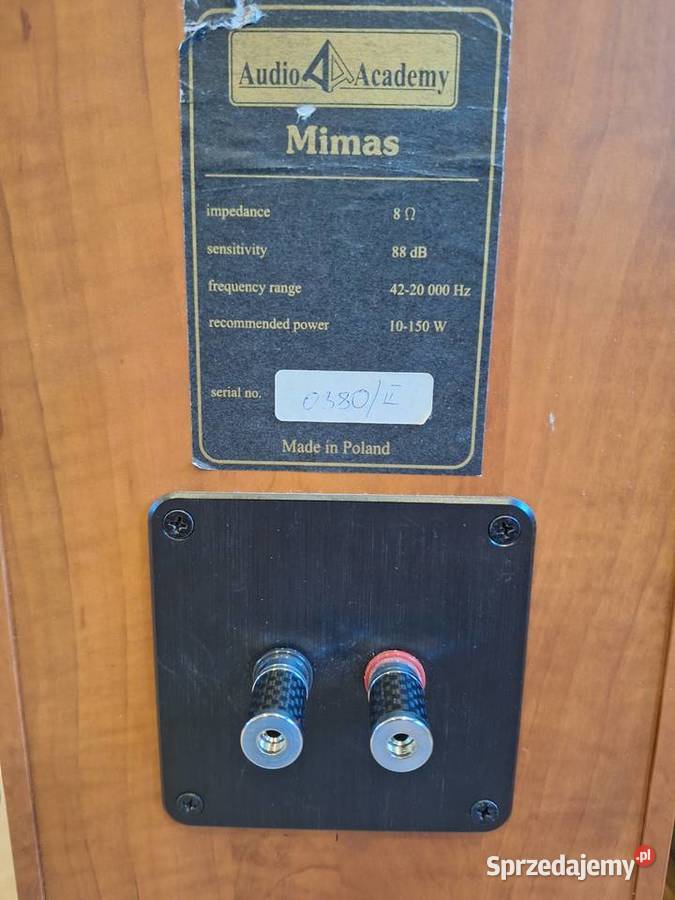 Kolumny głośnikowe Audio Academy Mimas Górki Małe sprzedam