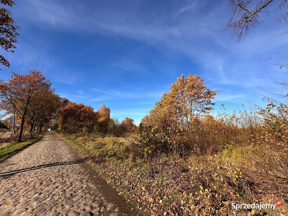 Działka budowlana kolorowe jeziorka Chełmica