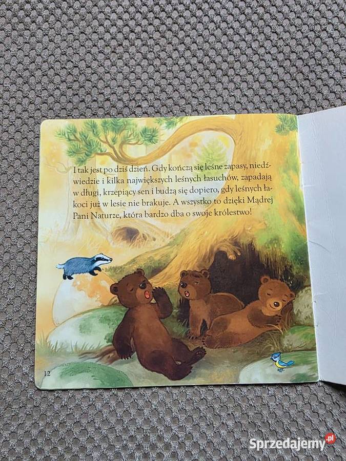 Dlaczego niedźwiedzie zapadają w zimowy sen Kraków