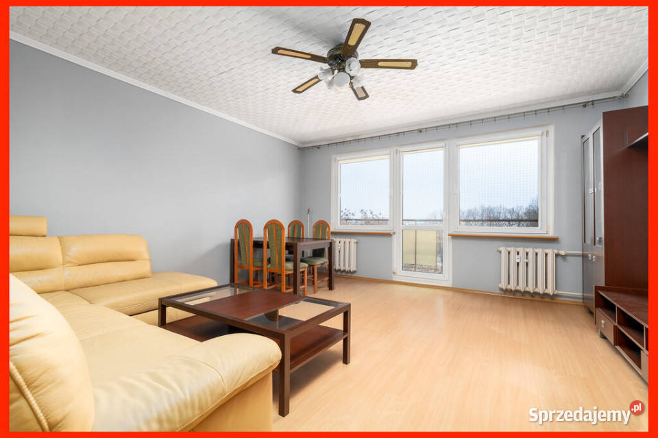 Darmowe cardio i zero tupania głową Liczba pokoi 3 Szczecin