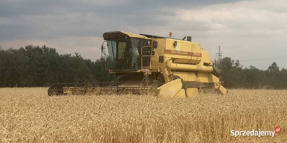 holland tf44 Pniówek