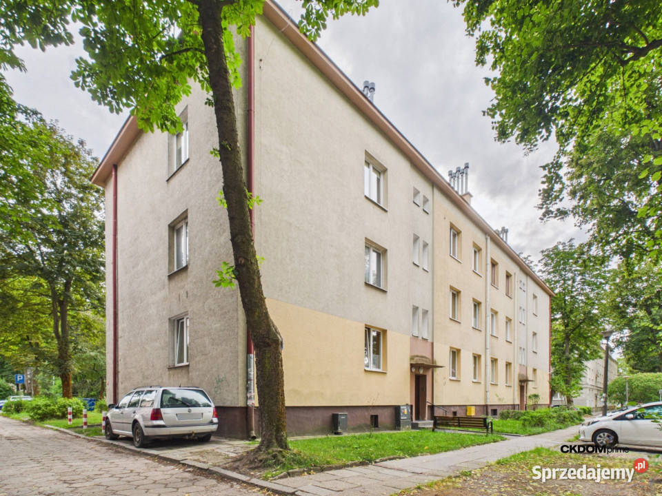 Kielce Miodowa Mieszkanie 3652 m2 Sprzedaż