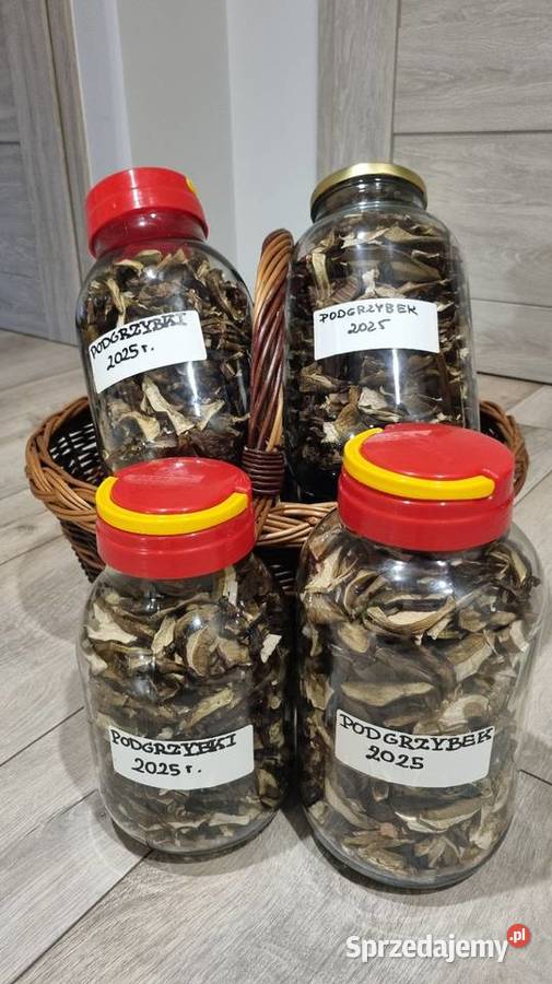 Podgrzybki suszone Zbiór 2025r 25 100g Gliwice