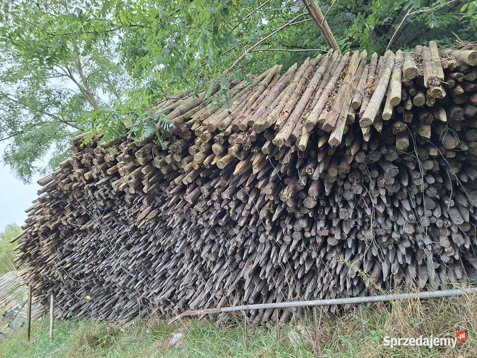 Drewno opałowe paliki dł120 Podzborów