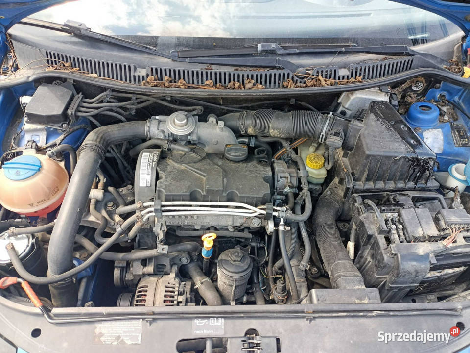 Volkswagen Polo Volkswagen Polo 14TDI 69 06r IV 2/3