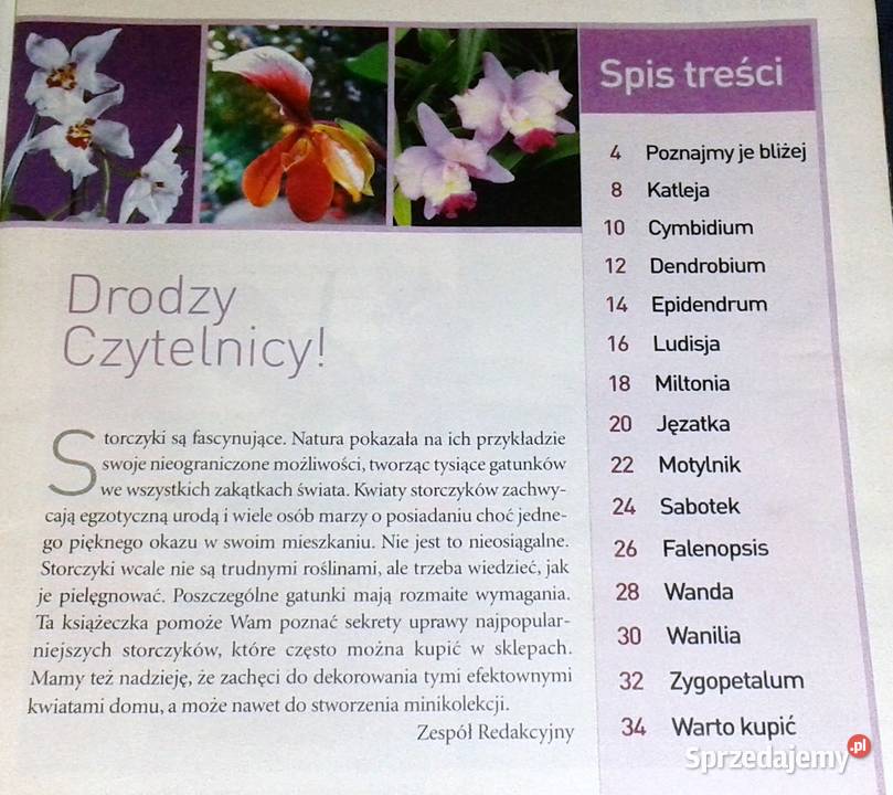 Storczyki Kwietnik poleca Gatunki Wymagania Chełm sprzedam