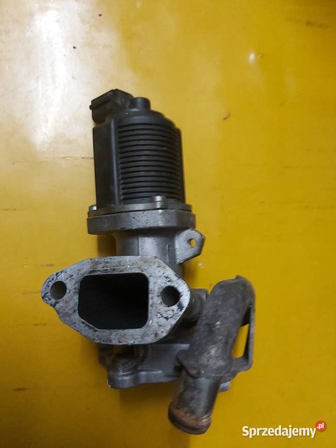 zawór recyrkulacji EGR Opel Corsa13 CDTI Bydgoszcz
