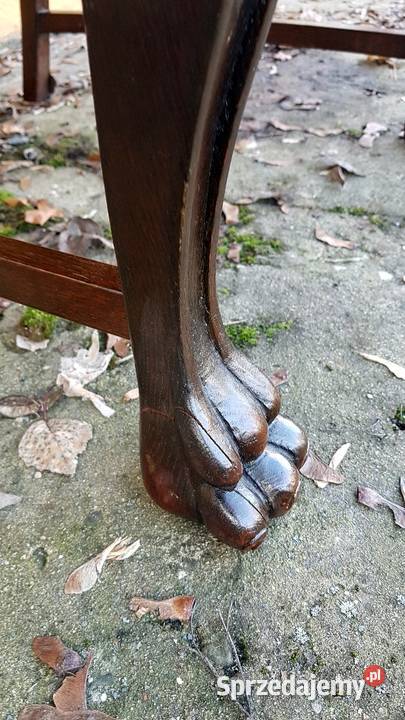 Fotel na Lwich łapach Bydgoszcz