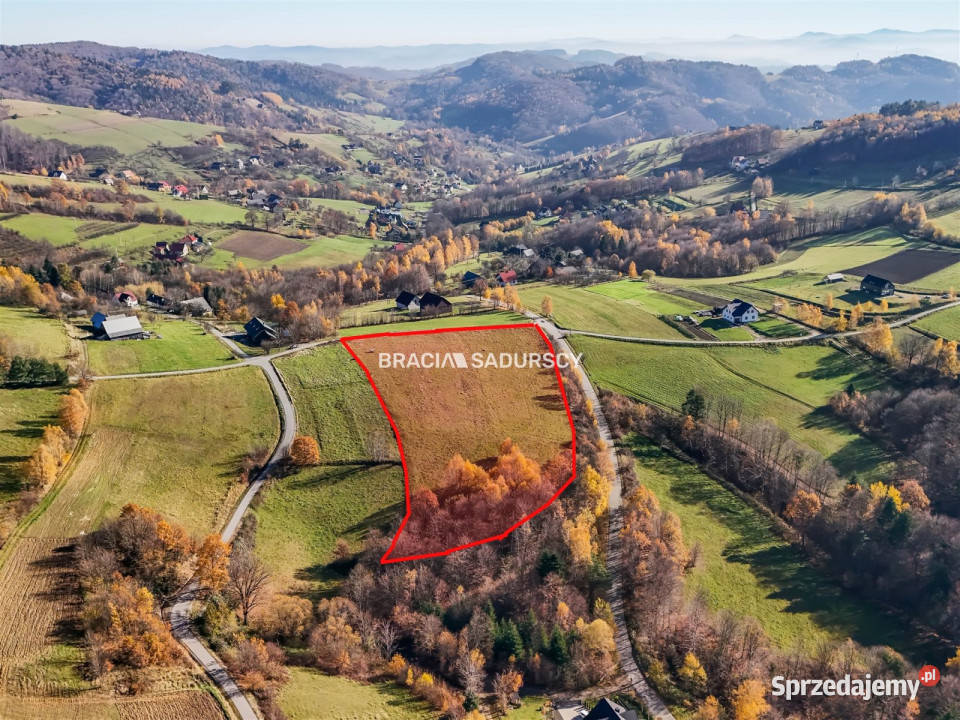 Grunt Kamionka Mała 130000m2 130000m2