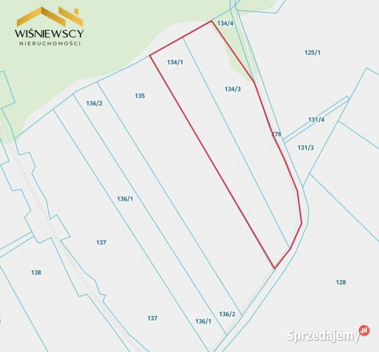 Działka rolna 228 ha Kwietniewo gmina Rychliki