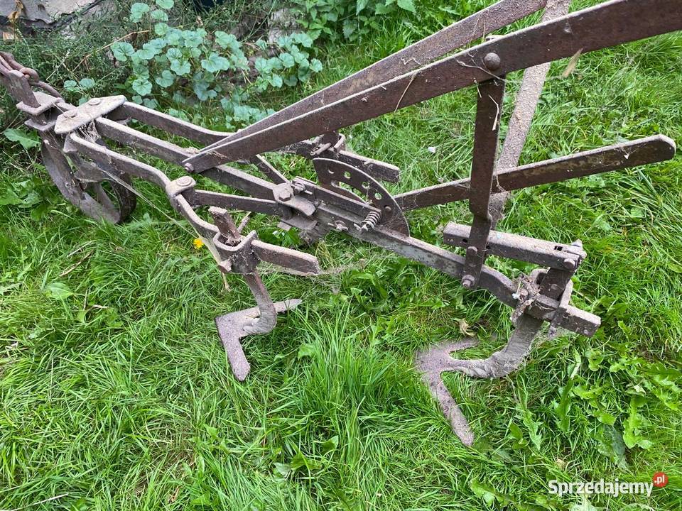 Opielacz konny Obsypniki i pielniki zachodniopomorskie Połczyn-Zdrój