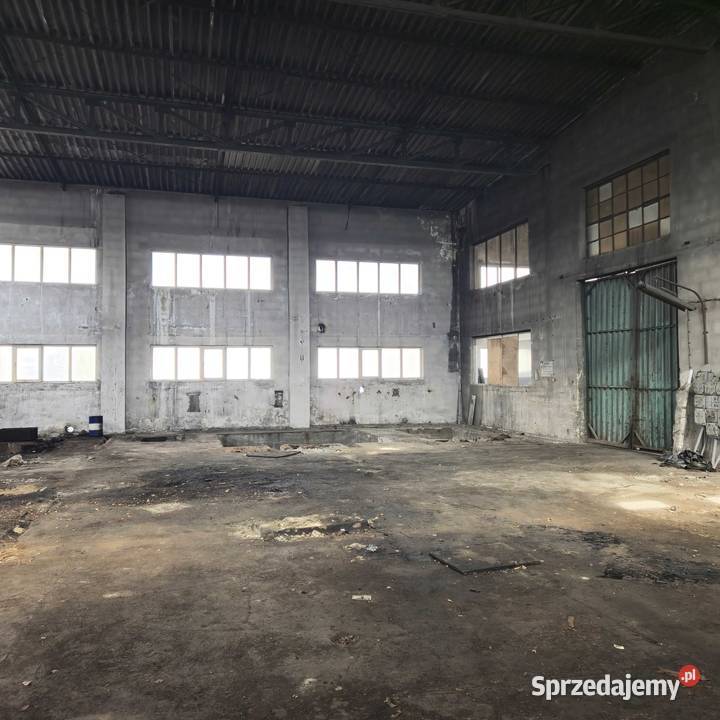 Wynajmę hale magazynowo produkcyjną o Aleksandria