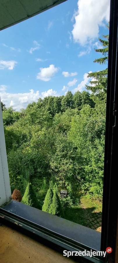 Dom z przestronnym ogrodem z sadem i sadzawką Stoczek Łukowski