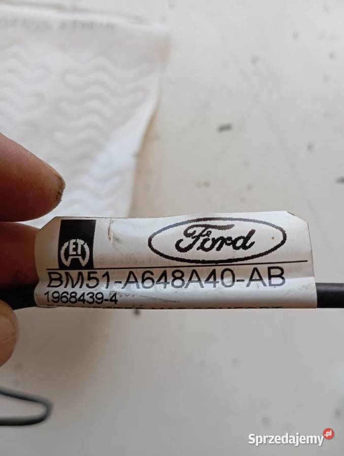 ford focus maty grzewcze Kobylnica