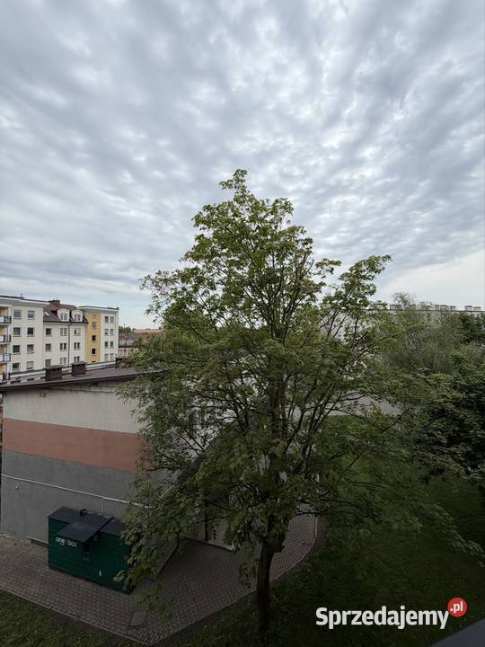 Sprzedam 2 pokojowe mieszkanie w Łomży Polowa 11 Łomża