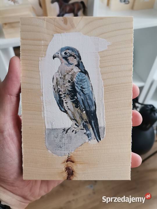 Obrazy na zamówienie portrety zwierzakow Dekoracje i ozdoby wielkopolskie Poznań sprzedam