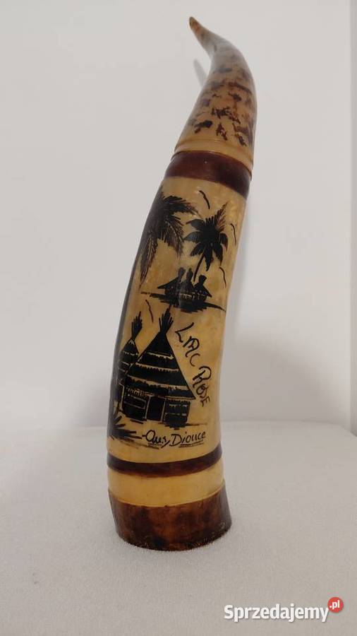 Róg Watussi Senegal Antyki, Sztuka, Kolekcje Krzykawa sprzedam