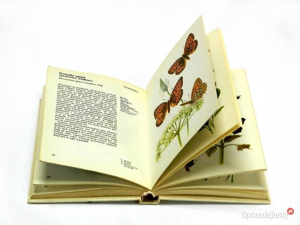 Atlas motyli Moucha kujawsko-pomorskie Osięciny sprzedam