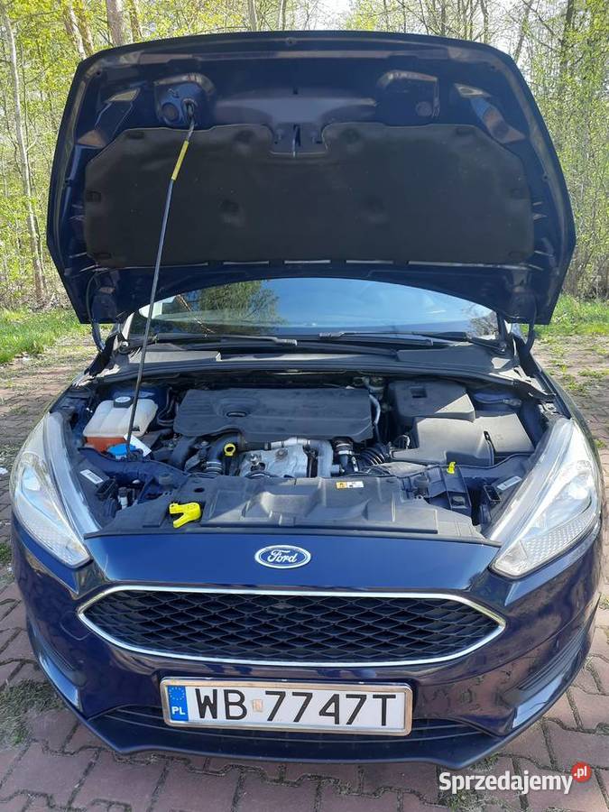Ford Focus 15 TDCI kupiony w Polsce świętokrzyskie Ostrowiec Świętokrzyski